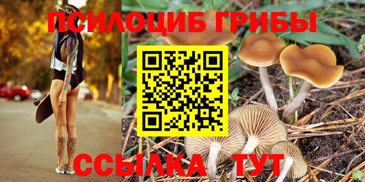Галлюциногенные грибы Magic Shrooms Сочи